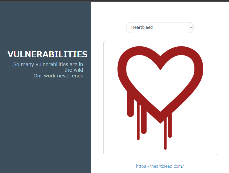 Vulnerabilities